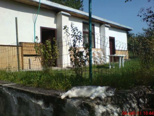 Pronajem Pokoju Belle Vue Apartment Vranov nad Dyji Exterior photo